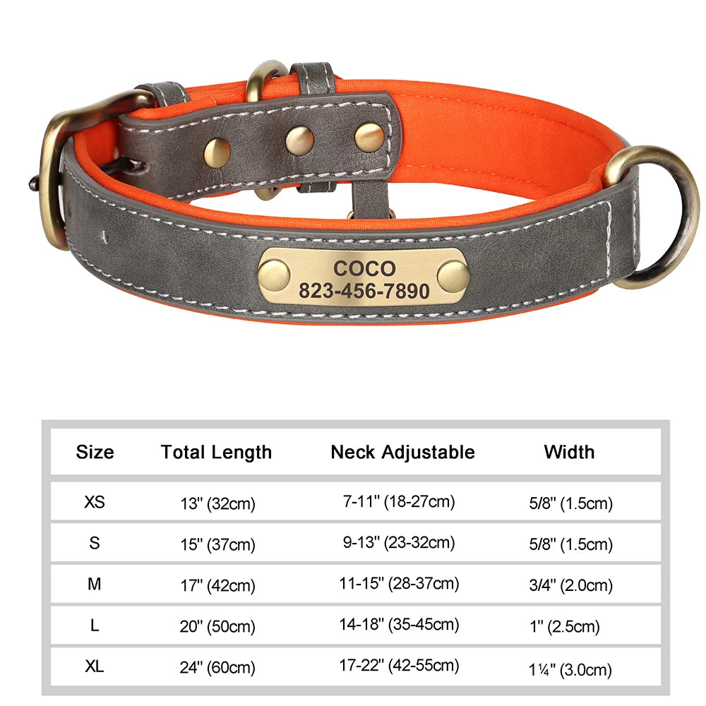 Personalized Dog Collar with ID Tag