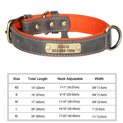 Personalized Dog Collar with ID Tag