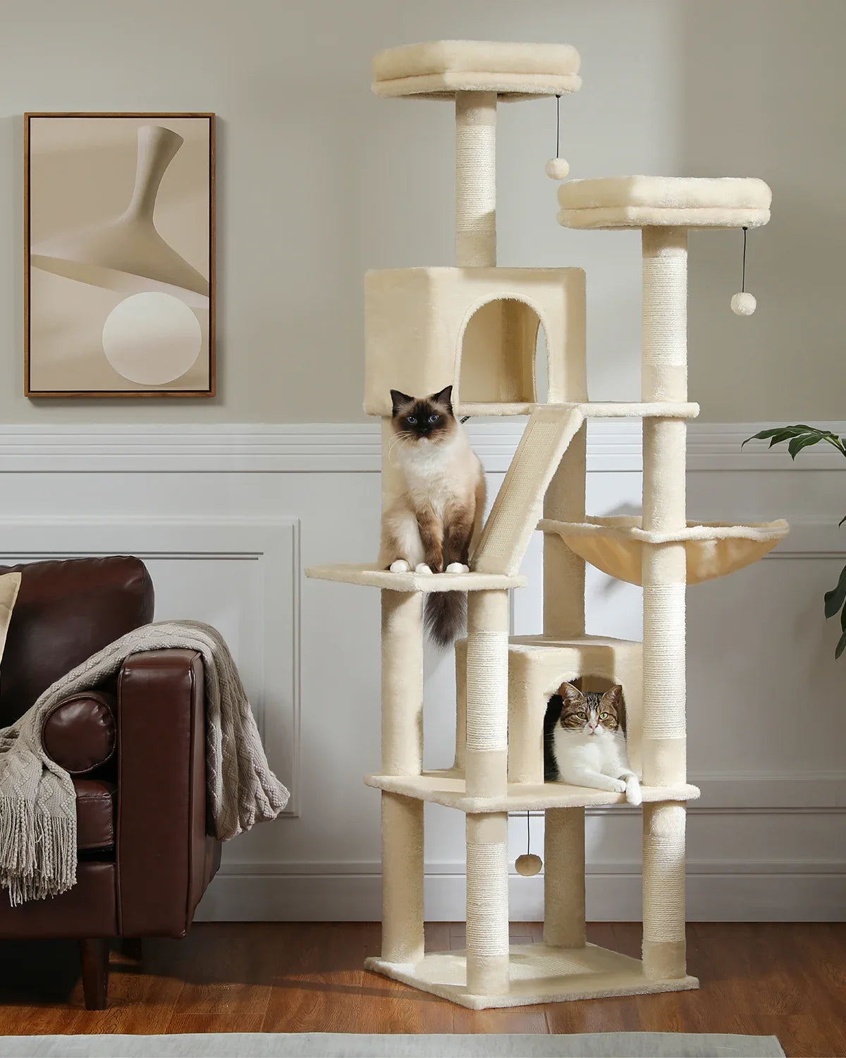 Multi-Level Cat Condo with Hammock