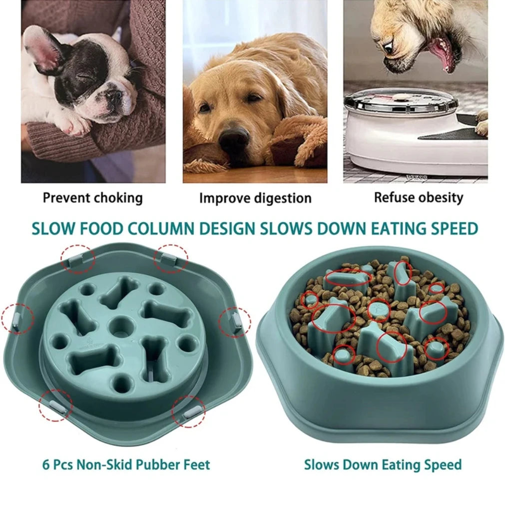 Slow Feeder Dog Bowl.
