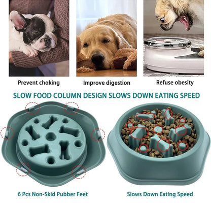 Slow Feeder Dog Bowl.