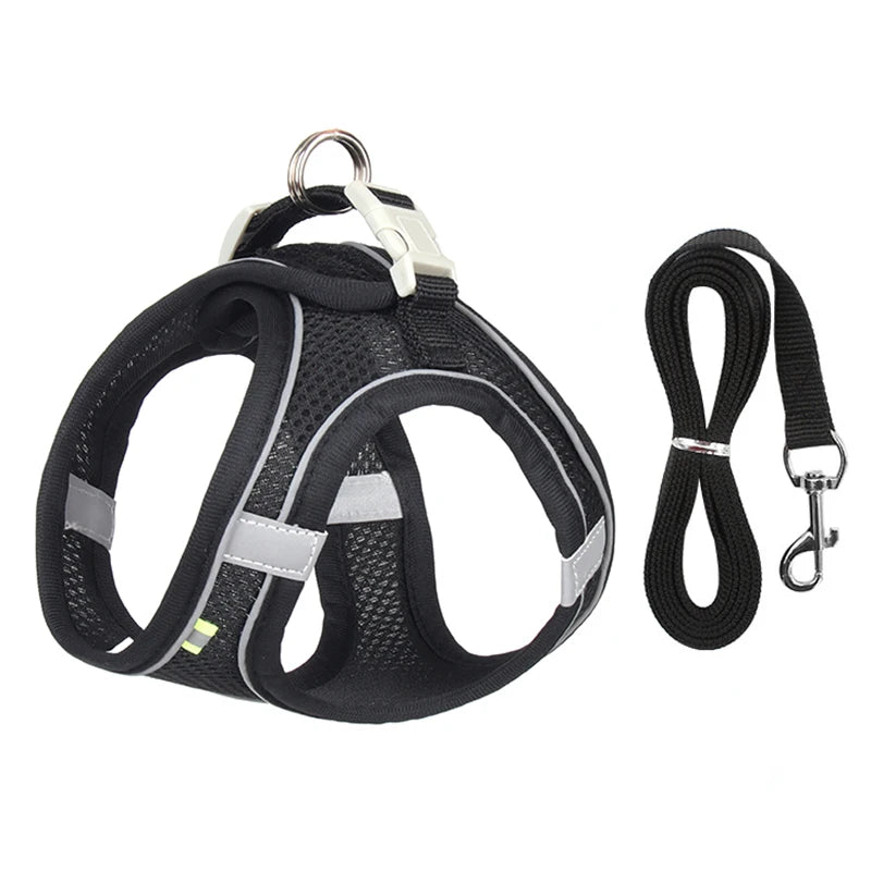 Small Dog Walking Harness