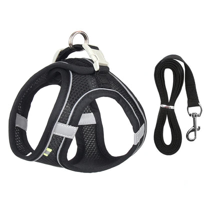 Small Dog Walking Harness