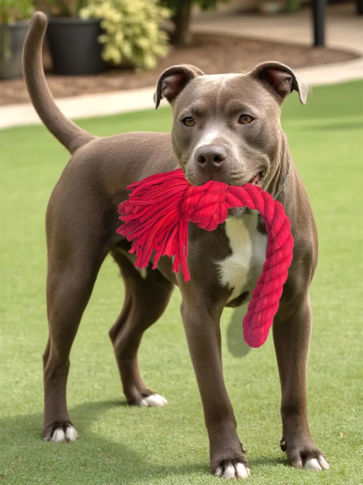 Heavy Duty Dog Rope Toy.