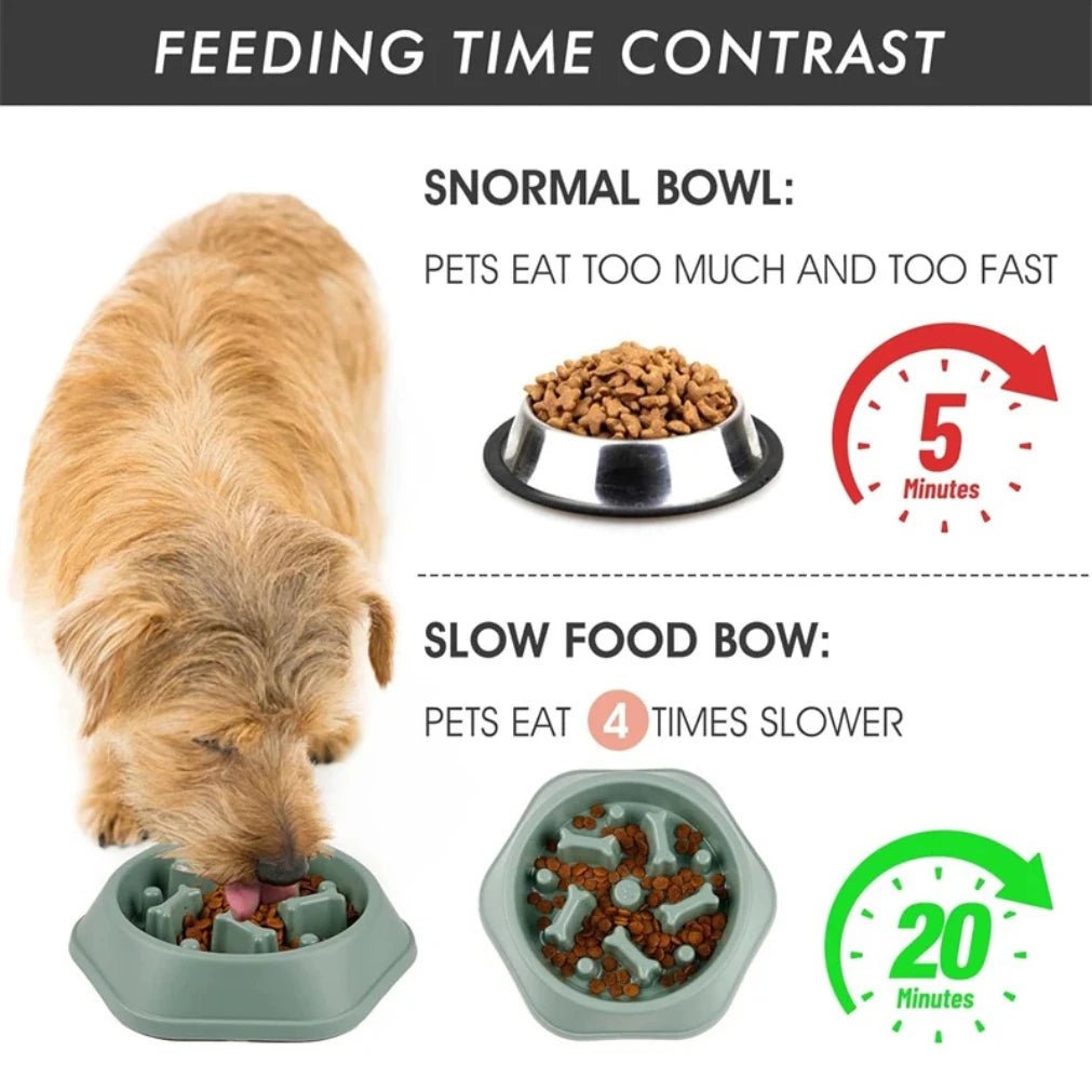 Slow Feeder Dog Bowl.