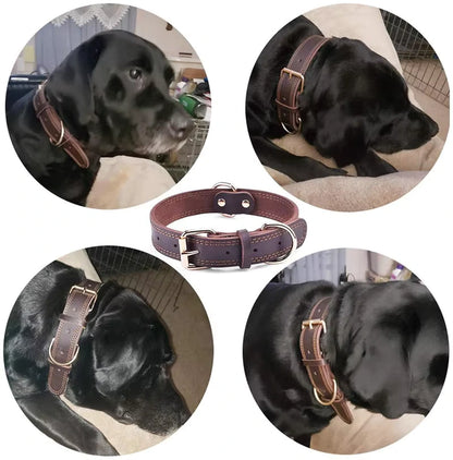 Leather Dog Collar