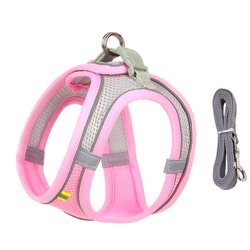 Small Dog Walking Harness