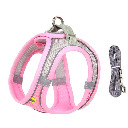 Small Dog Walking Harness