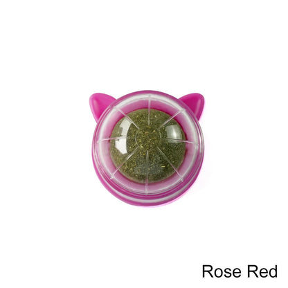 Catnip Lollipop Cat Treat