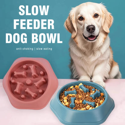 Slow Feeder Dog Bowl.