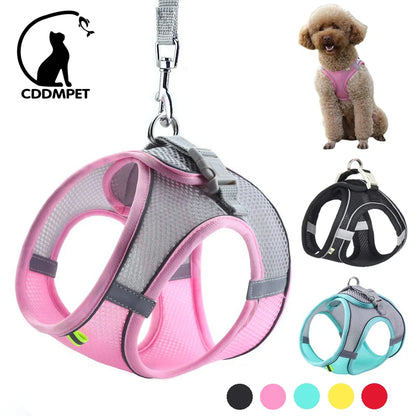 Small Dog Walking Harness