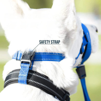 Breathable Pet Muzzle for Training