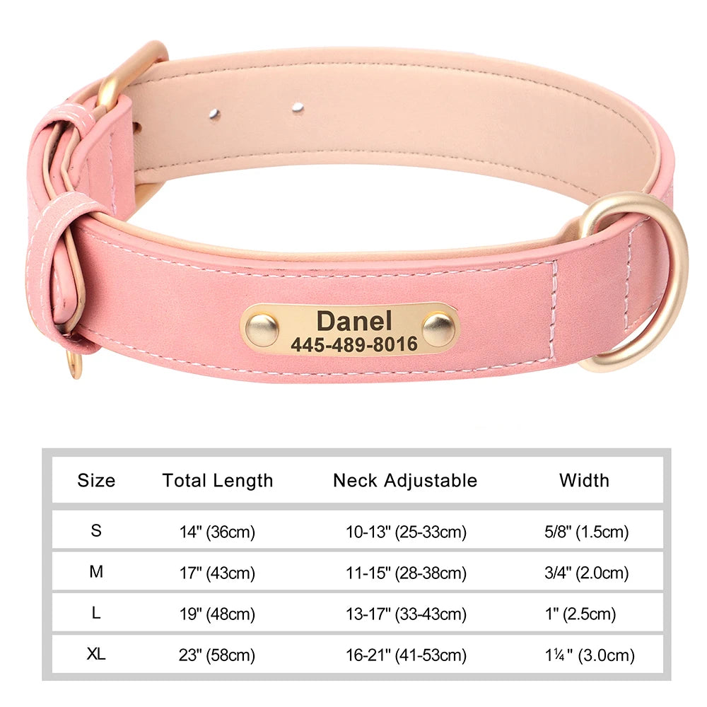 Personalized Dog Collar with ID Tag