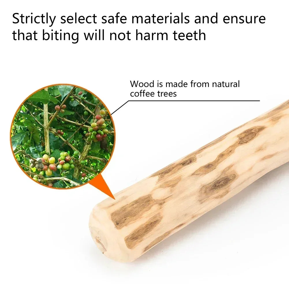 Eco-Friendly Wooden Chew Stick for Dogs