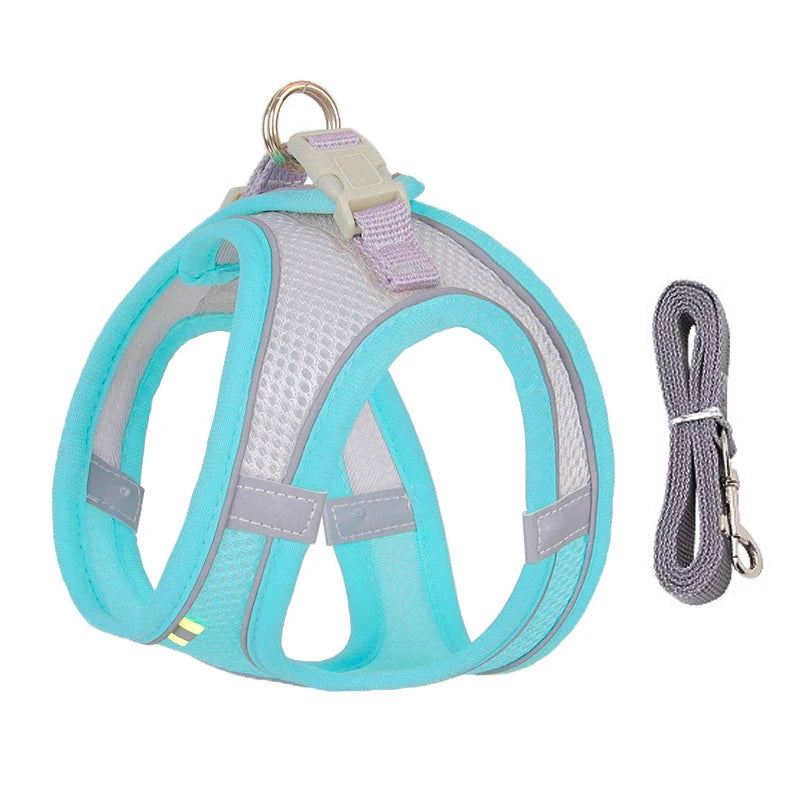 Small Dog Walking Harness