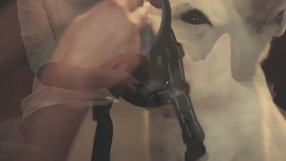 Breathable Pet Muzzle for Training