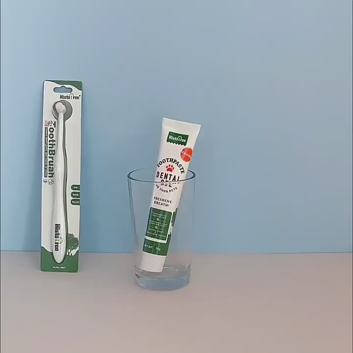 Round Head Pet Toothbrush.