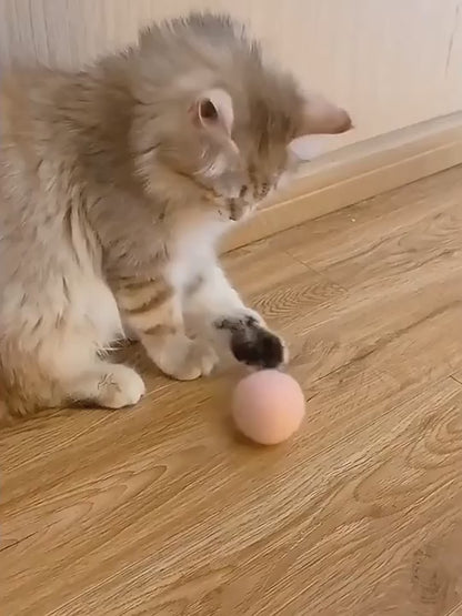 Smart Interactive Cat Toy Ball